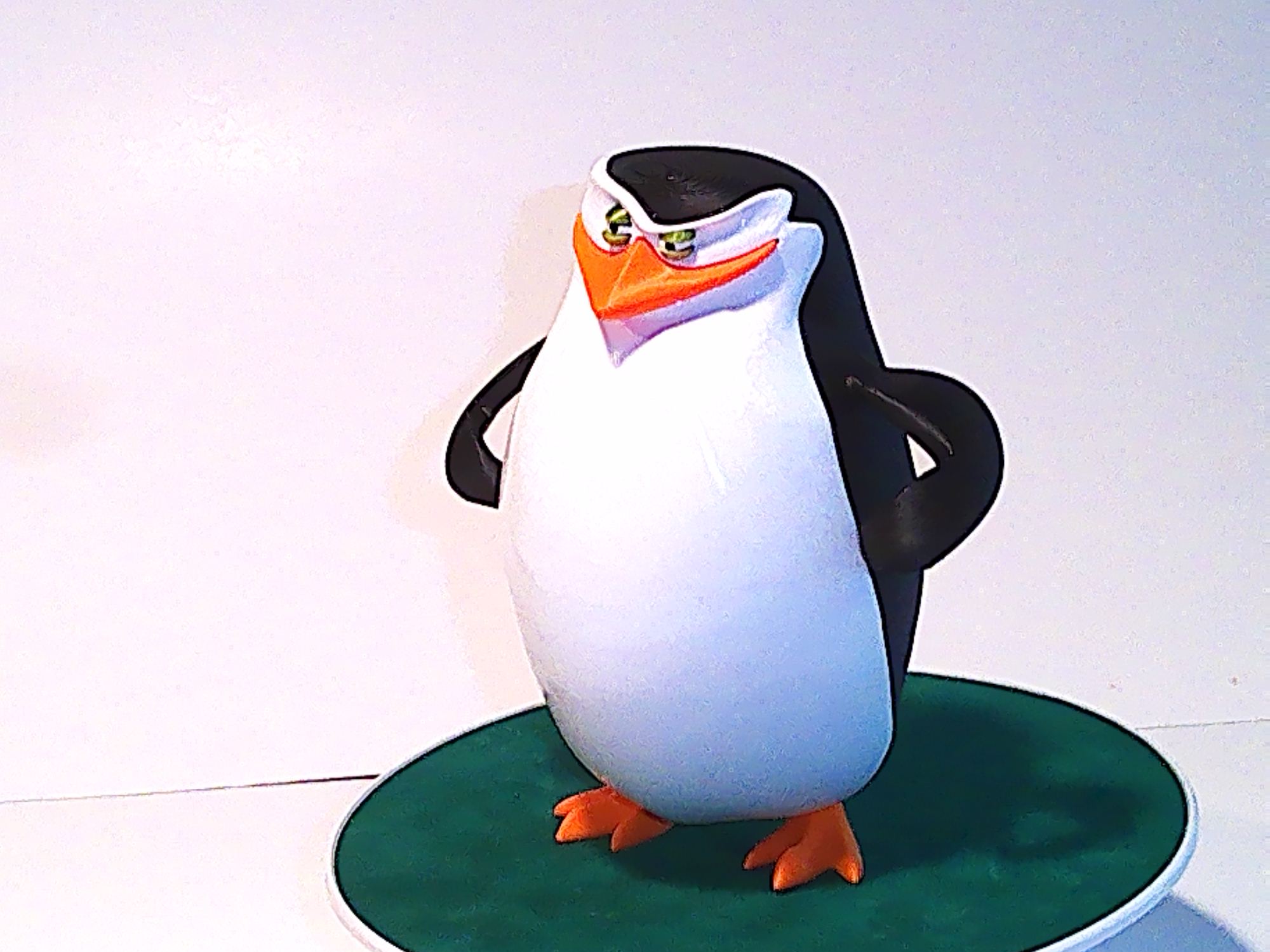 Cute Penguin